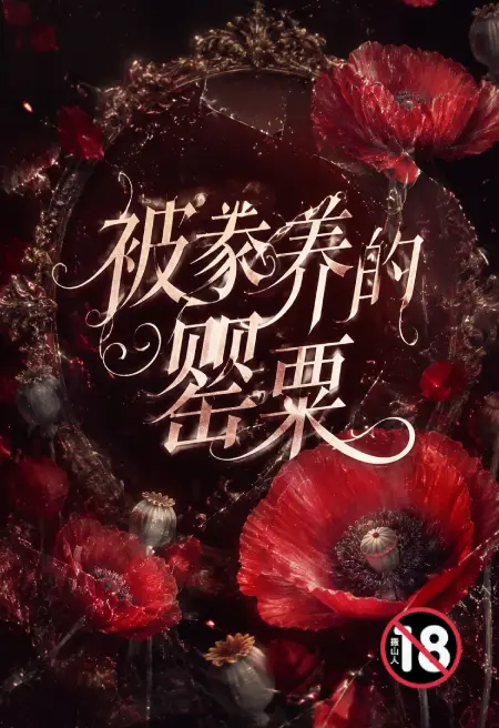 被豢养的罂粟