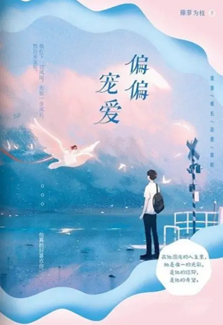 偏偏宠爱