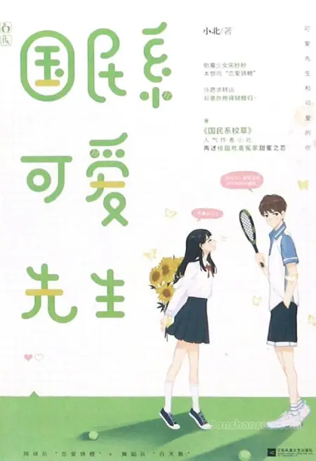 国民系可爱先生